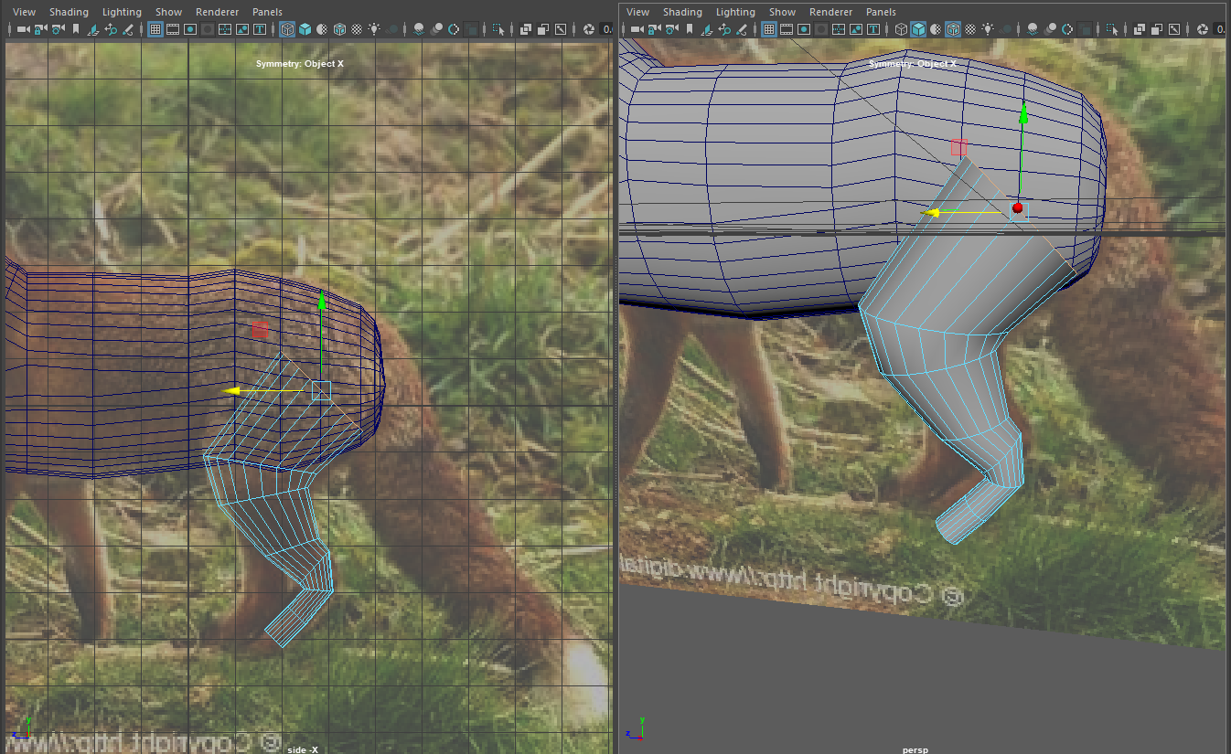 modelling process image