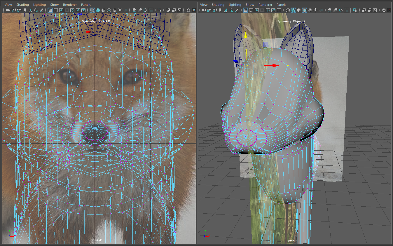 modelling process image